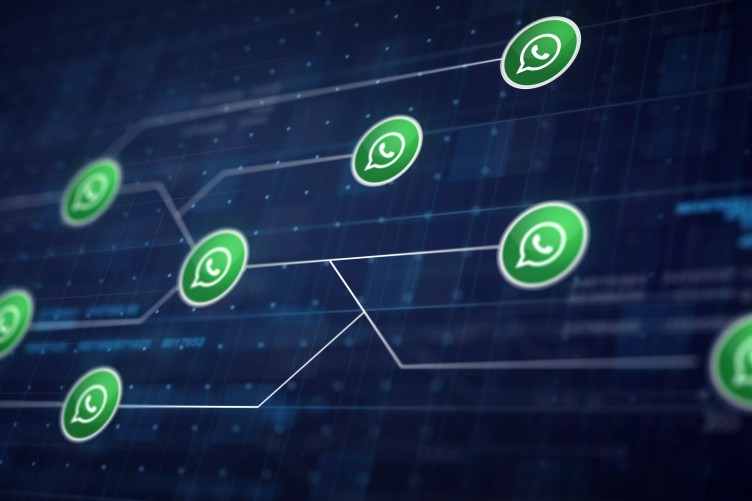 WhatsApp Automation